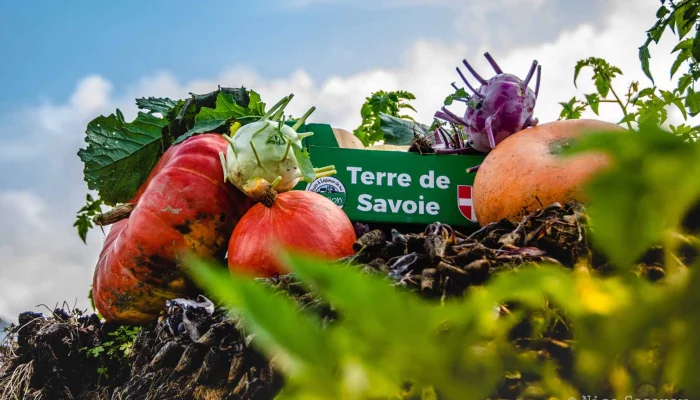 LES JARDINS DE QUINCY